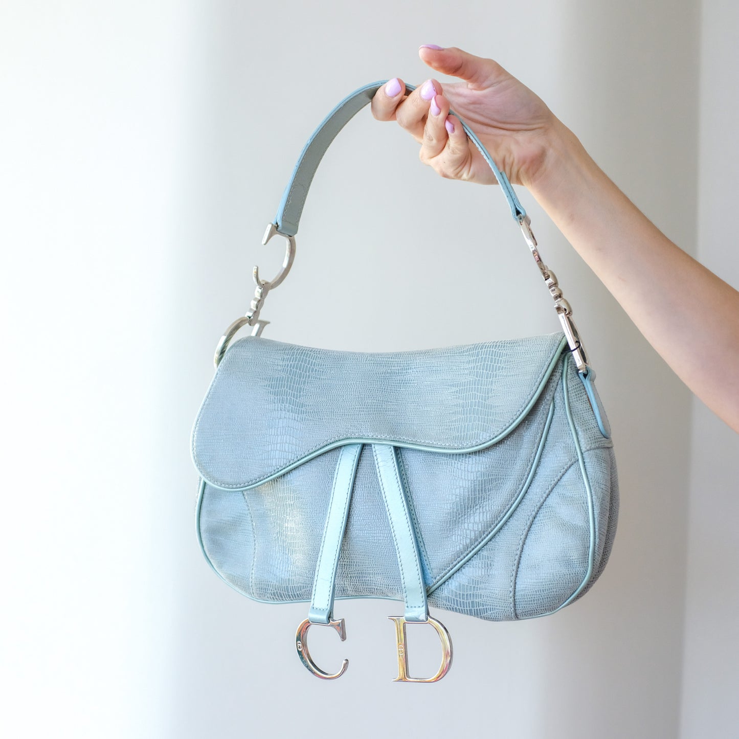 Dior Python Saddle Bag