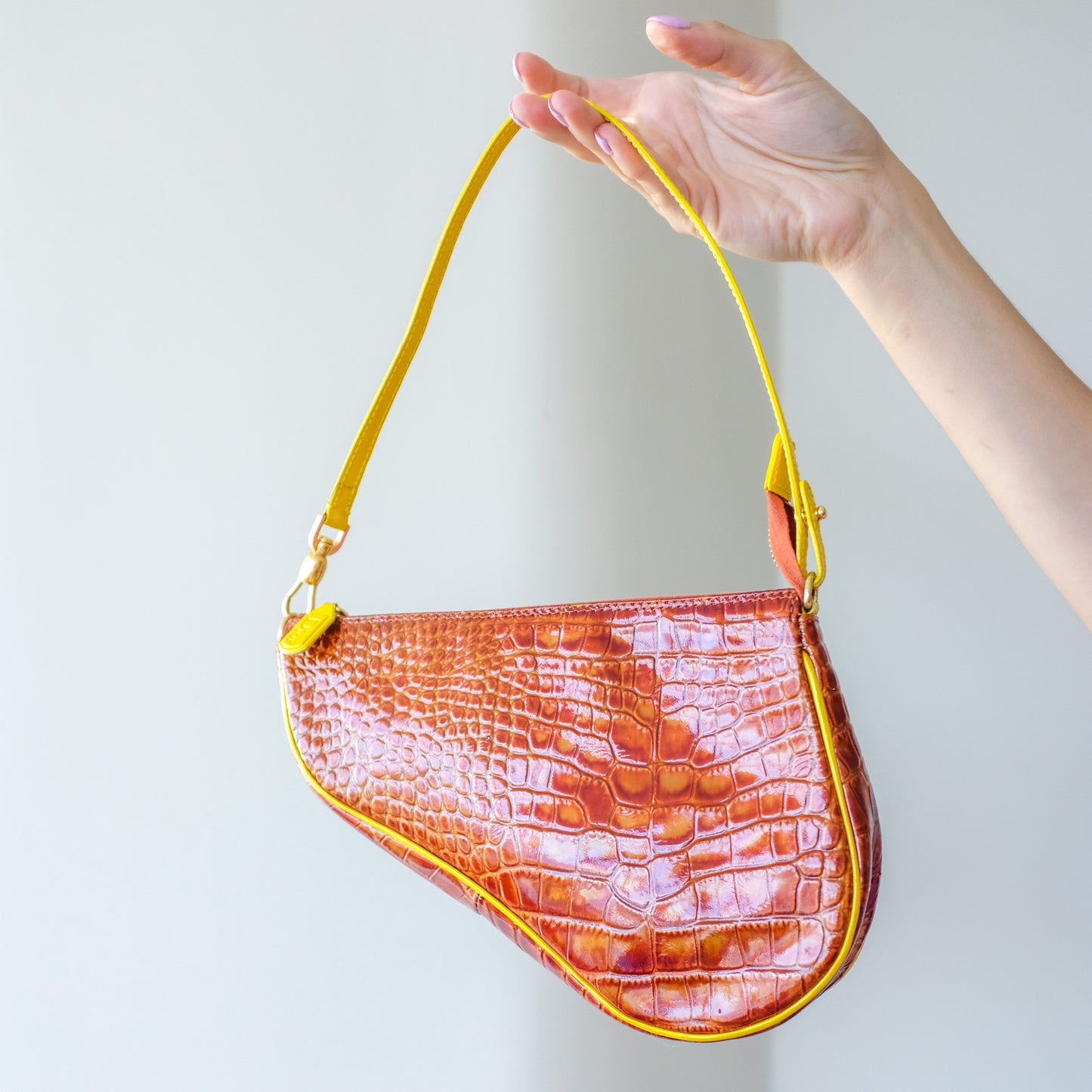 Dior Mini Saddle Bag