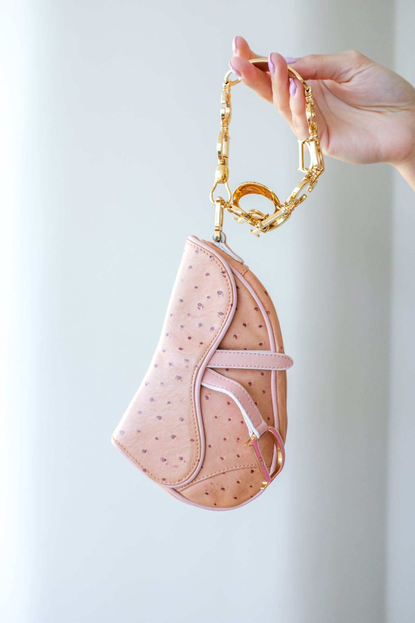 Dior Wristlet Mini Saddle Bag