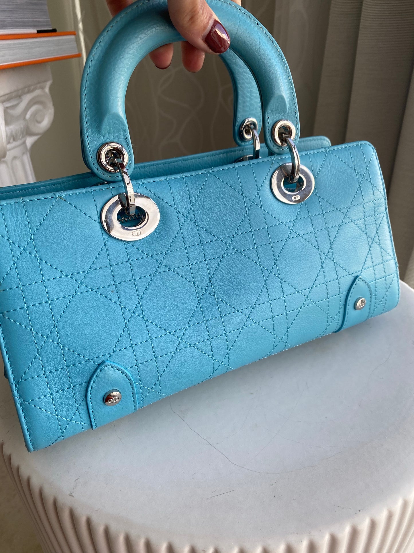 Dior Canage Lady Dior Bag