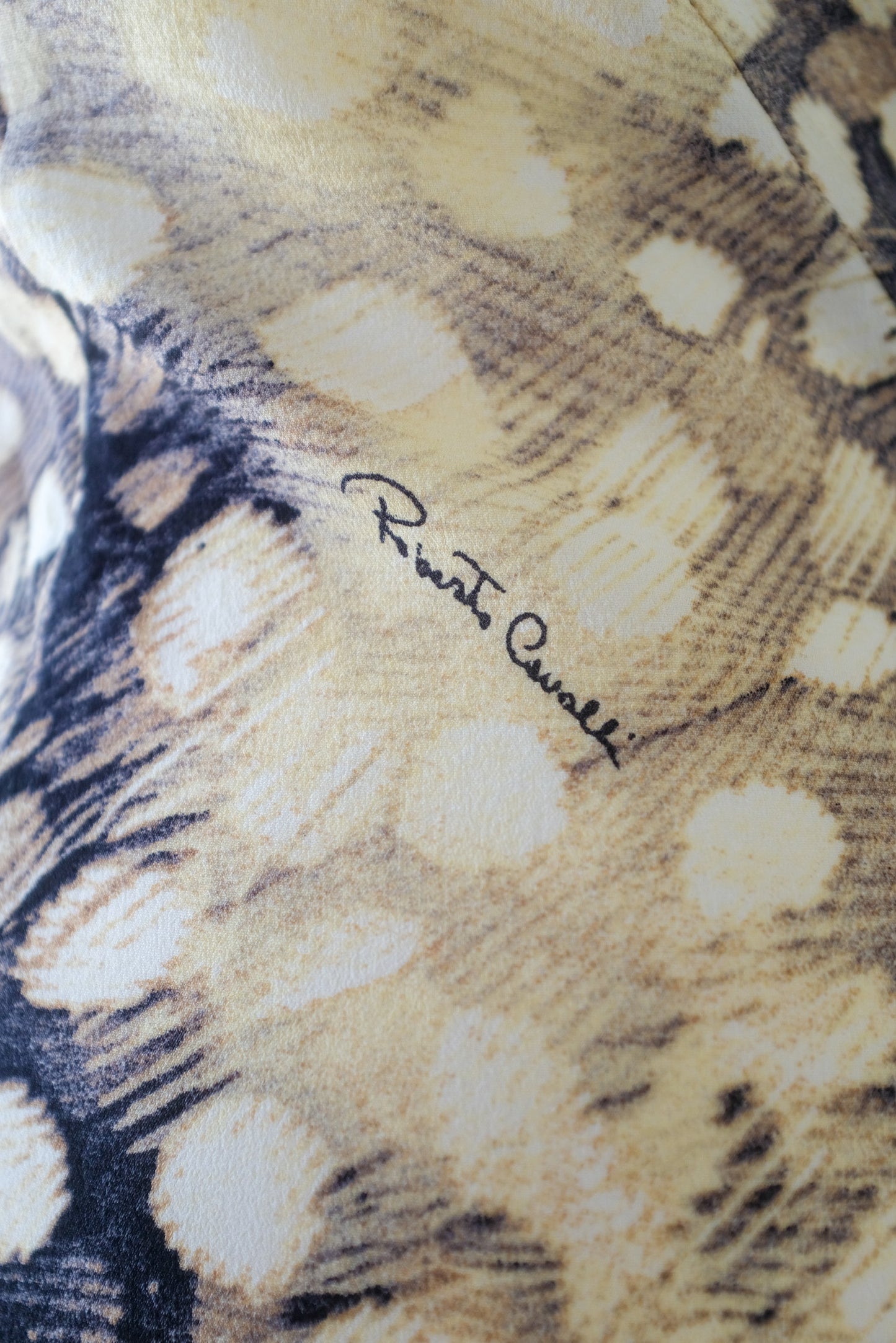 Roberto Cavalli S/S 2004 Silk Feather Dress